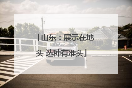 山东：展示在地头 选种有准头